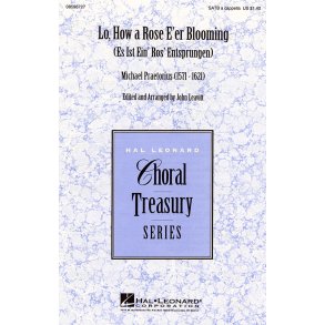 Lo, How a Rose E'er Blooming