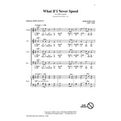 The Renaissance Singer Secular (Ed Leavitt John) Satb Choral