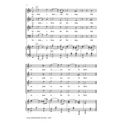 Neue Liebeslieder Walzer Selections, Opus 65 : New Lovesong Walzes (A Suite)