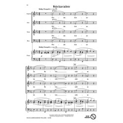 Neue Liebeslieder Walzer Selections, Opus 65 : New Lovesong Walzes (A Suite)