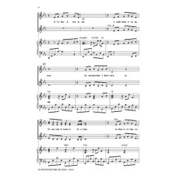 SCHWARTZ IN WHATEVER TIME WE SSAA