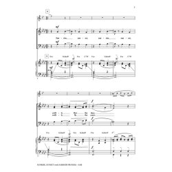 BOCK J/HARNICK S SUNRISE SUNSET WITH SABBATH PRAYER (BRYMER MARK) SAB