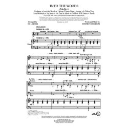 SONDHEIM STEPHEN INTO THE WOODS MEDLEY (ARR LOJESKI ED) SATB CHORAL