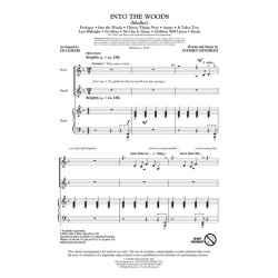 SONDHEIM STEPHEN INTO THE WOODS MEDLEY (ARR LOJESKI ED) 2 PART CHORAL