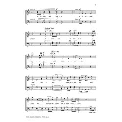 BERLIN IRVING GOD BLESS AMERICA (BRYMER MARK) TTBB DIV A CAPPELLA CHOR