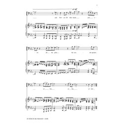 In Time of Silver Rain