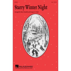 Starry Winter Night