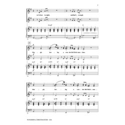 MCCARTNEY WONDERFL CHRISTMASTIME SSA