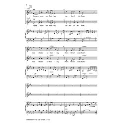 SNYDER DARK BROWN IS THE RIVER 2PT