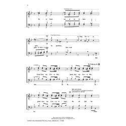 Coney Island Baby/We All Fall