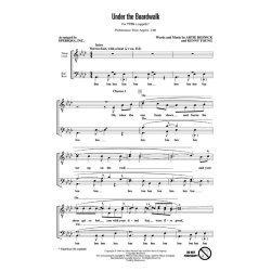 RESNICK/YOUNG UNDER THE BOARDWALK (ARR SPEBSQSA) TTBB A CAPPELLA CHOR