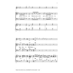 What You Gonna Call Your Pretty Little Baby (Miller Cristi) Sab Chor