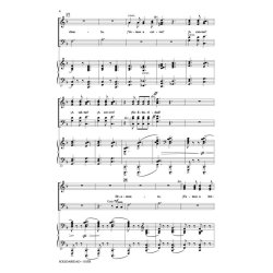 Solidaridad : In Solidarity