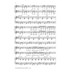 Hannah Montana in Concert