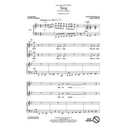 SING VOICES TOGETHER (ZEGREE) 2PT