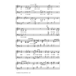 Sunrise at Yellowstone : from American Landscapes