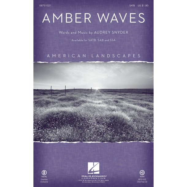 Amber Waves : from American Landscapes