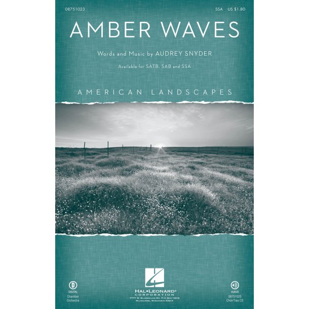 Amber Waves : from American Landscapes