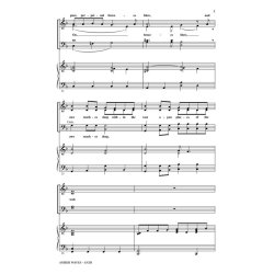 Amber Waves : from American Landscapes