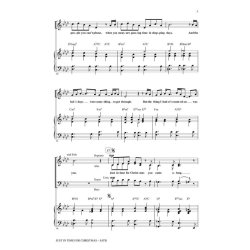 Just in Time for Christmas