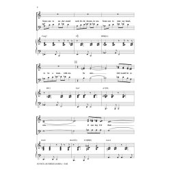 SO NICE SUMMER SAMBA (ZEGREE STEVE) SAB