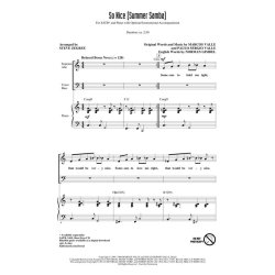 SO NICE SUMMER SAMBA (ZEGREE STEVE) SHOW TRAX CD