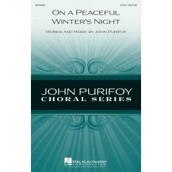 On a Peaceful Winter's Night