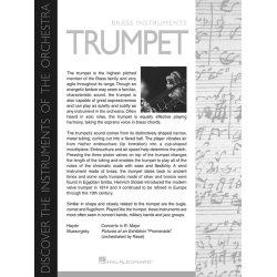 Discover The Instruments Of The Orchestra: 24 Posters And Fun Facts