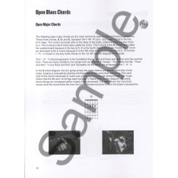 House Of Blues Blues Guitar Course