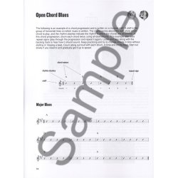 House Of Blues Blues Guitar Course