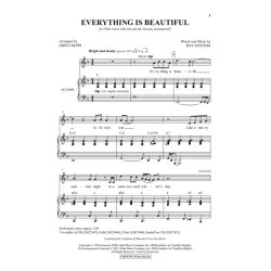 STEVENS RAY EVERYTHING IS BEAUTIFUL (GILPIN GREG) SHOWTRAX CD