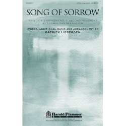 Liebergen Song Of Sorrow Based On Beethoven 2 Part Choral