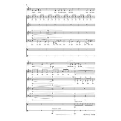 Adele/Epworth Skyfall (Redford) Satb Divisi/Solo/Vocal Percussion Chor