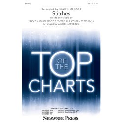 Shawn Mendes: Stitches (TBB Songbook)