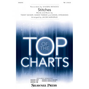 Shawn Mendes: Stitches (TBB Songbook)