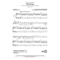 Shawn Mendes: Stitches (TBB Songbook)