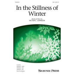 In the Stillness of Winter