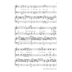 The Wonder of Creation