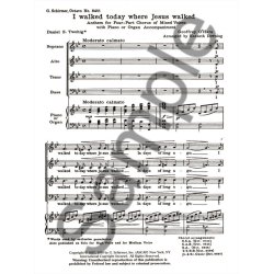 I Walked Today Where Jesus Walked