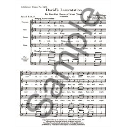 Davids Lamentation /Una