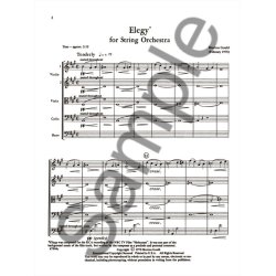 Elegy for String Orchestra
