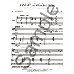 I Walked Today Where Jesus Walked