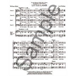 Joel Phillips: Little Lamb