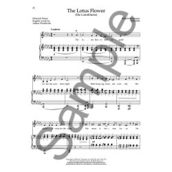 Easy Songs for the Beginning Mezzo-Soprano/Alto