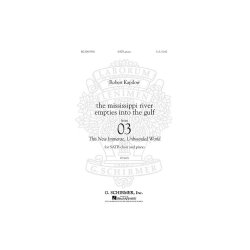 The Mississippi River Empties Into The Gulf