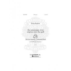 The Mississippi River Empties Into The Gulf