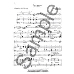 The Violin Collection: Intermediate Level (Book And CD)