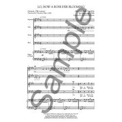 Arr. Harold Rosenbaum: Lo, How A Rose E'er Blooming