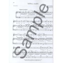 28 Italian Songs And Arias Of The 17th And 18th Centuries - High Voice (Book Only)