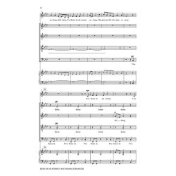 Craig Hella Johnson: Been In De Storm/Wayfaring Stranger